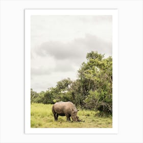 Rhino Grazing In Africa Art Print