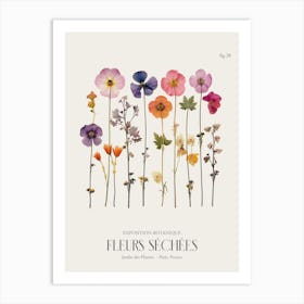 Fleurs Sechees, Dried Flowers Exhibition Poster 28 Art Print