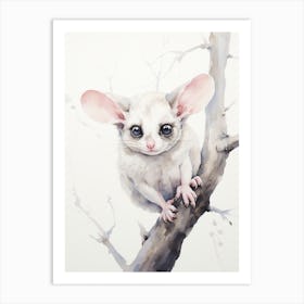 Light Watercolor Painting Of A Sugar Glider 2 Art Print