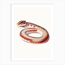Corn Snake Vintage Art Print