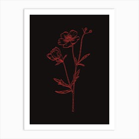 Flowers On A Black Background 3 Art Print