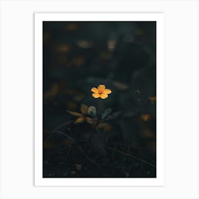 Single Yellow Flower 58 Art Print