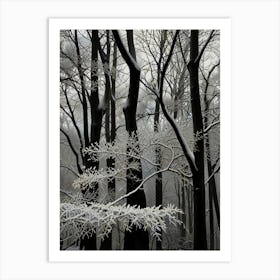 Winter Forest 2 Art Print