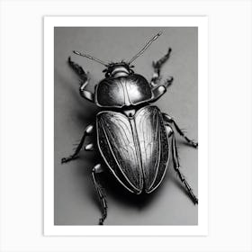 Beetle 1 Art Print