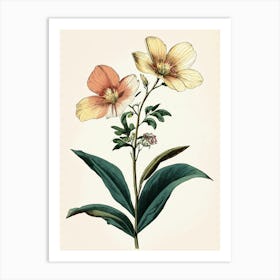 Hibiscus 7 Art Print