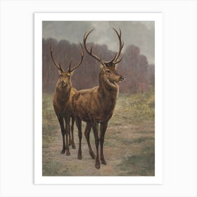 Forest Monarchs Deer Wall Art Prints Art Print