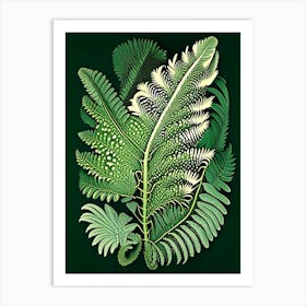 Tasmanian Tree Fern Vintage Botanical Poster Art Print