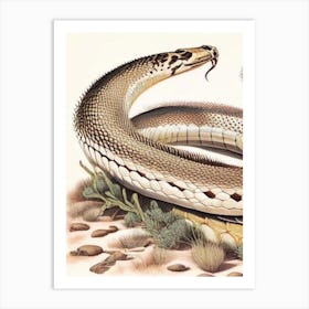 Prairie Rattlesnake Vintage Art Print