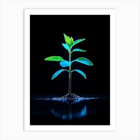 Small Green Plant On Black Background 9 Art Print