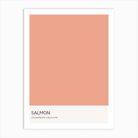 Salmon Colour Block Poster Art Print