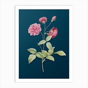 Vintage China Rose Botanical Art on Teal Blue n.0679 Art Print