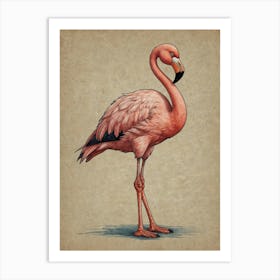 Flamingo 38 Art Print