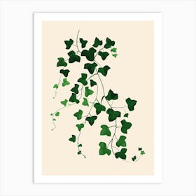 Ivy Plant Minimalist Illustration 7 Art Print