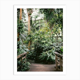 Welcome To The Jungle Brooklyn Botanical Garden Art Print
