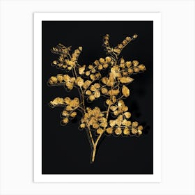 Vintage Blood Spotted Bladder Senna Botanical in Gold on Black n.0306 Art Print