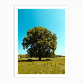 Lone Tree In A Field 1 Art Print