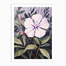 Flower Illustration Periwinkle 2 Art Print