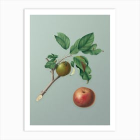 Vintage Apple Botanical Art on Mint Green n.0125 Art Print