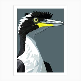 Black And White Cormorant Art Print