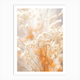 Boho Dried Flowers Babys Breath 2 Art Print