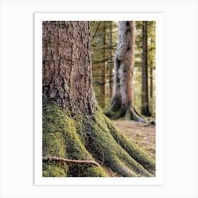 Mossy Tree Trunk Art Print