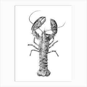 Dotwork Lobster Illustration Art Print