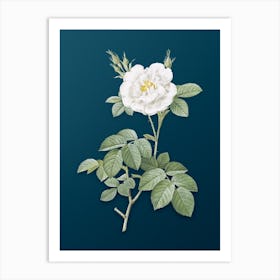 Vintage White Rose Botanical Art on Teal Blue n.0624 Art Print