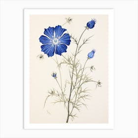 Blue Botanical Love In A Mist Nigella 2 Art Print