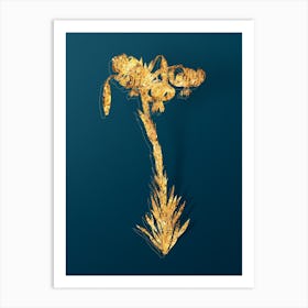 Vintage Lily Botanical in Gold on Teal Blue n.0348 Art Print