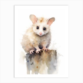 Light Watercolor Painting Of A Posing Possum 1 Art Print