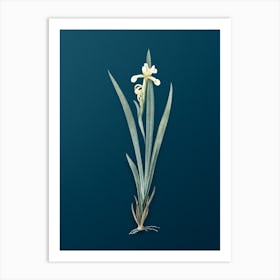 Vintage Yellow Banded Iris Botanical Art on Teal Blue n.0111 Art Print