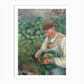 The Gardener Old Peasant With Cabbage (1883 1895), Camille Pissarro Art Print