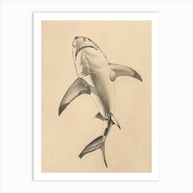 Bigeye Thresher Shark Vintage Illustration 1 Art Print