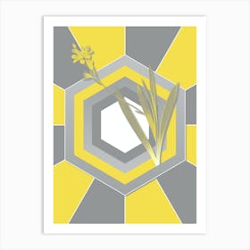 Vintage Gladiolus Mucronatus Botanical Geometric Art in Yellow and Gray n.201 Art Print