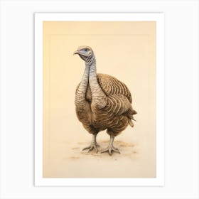 Vintage Bird Drawing Turkey 1 Art Print