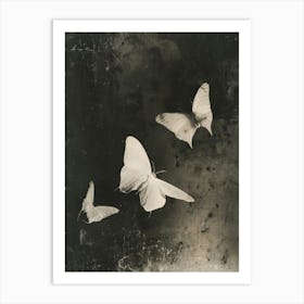 Three Butterflies 1 Art Print