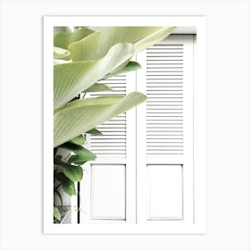 White Shutters Art Print