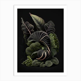 Snail With Black Background Botanical Art Print