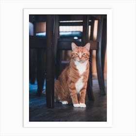 Orange Tabby Cat Art Print