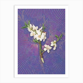Vintage Almond Tree Flower Botanical Illustration on Veri Peri n.0693 Art Print