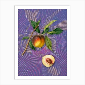 Vintage Peach Botanical Illustration on Veri Peri n.0599 Art Print