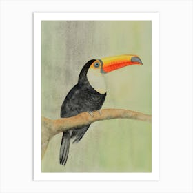 Toucan Art Print