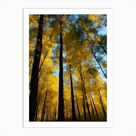 Autumn Trees In The Forest 6 Art Print