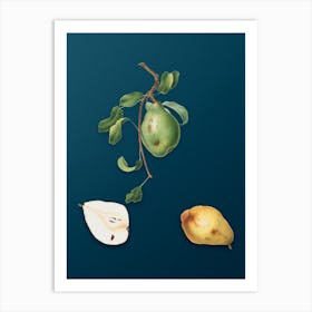 Vintage Pear Botanical Art on Teal Blue n.0104 Art Print