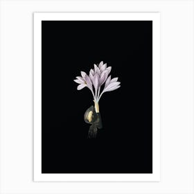 Vintage Autumn Crocus Botanical Illustration on Solid Black n.0762 Art Print