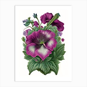 Petunia 1 Floral Botanical Vintage Poster Flower Art Print