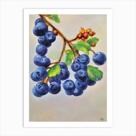 Huckleberry Vintage Sketch Fruit Art Print