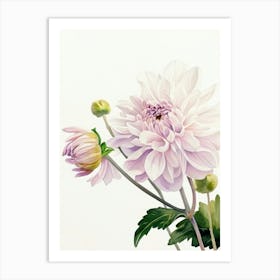 Watercolour Flower On White 10 Poster