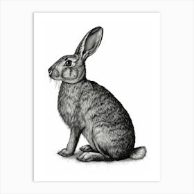 American Sable Blockprint Rabbit Illustration 2 Art Print