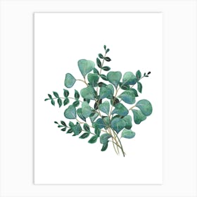 Leaf Study Three Art Print